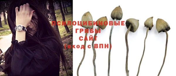 соль курить ск Алексеевка