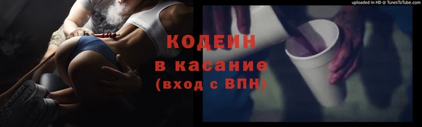 крисы Алзамай