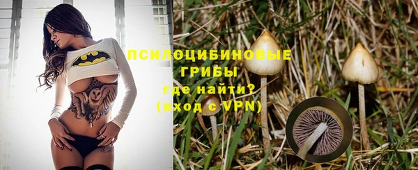 крисы Алзамай